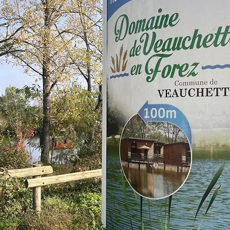 Confortables En Bord D'etang, Parfaits Pour Peche Et Nature, Avec Terrasse Et Equipements Modernes - Fr-1-496-83 Vakantiehuis Veauchette