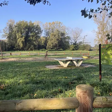 Vakantiehuis Confortables En Bord D'etang, Parfaits Pour Peche Et Nature, Avec Terrasse Et Equipements Modernes - Fr-1-496-83 *